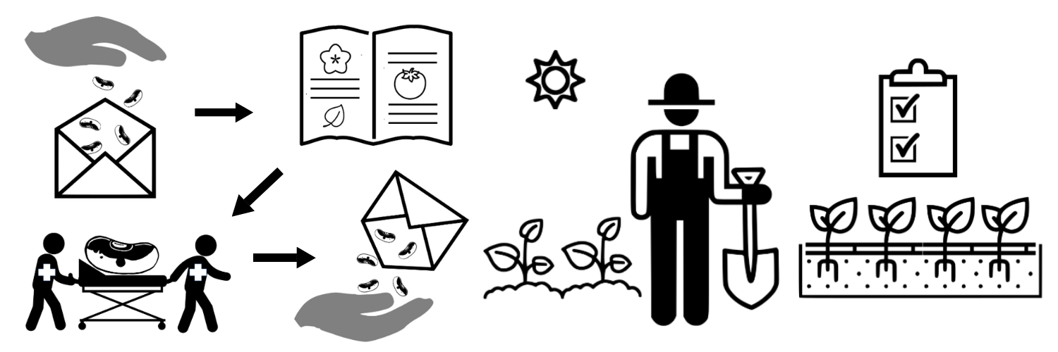 Seed grower process in six visual steps