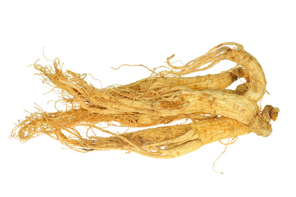 American ginseng root