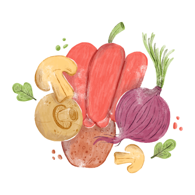 vegetable illustration