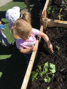 Child pointing at a plant in garden