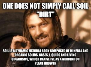 Boromir from Lord of the Rings explains that one does not simply call soil dirt. Rather, soil is a dynamic natural body composed of mineral and organic solids, gases, liquids, and living organisms, which can serve as a medium for plant growth.
