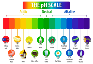 Some items lower on the PH scale include stomach acid (PH 1), lemon juice (PH 2), and wine (PH 3). Some items higher on the PH scale include drain cleaner (PH 14), oven cleaner (PH 13), and hair remover (PH 12). Some items in the middle of the scale include milk (PH 6), pure water (PH 7), and blood (PH 8).
