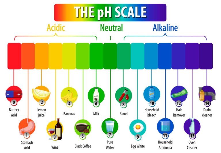 Soils: A Crash Course - Youth in Food Systems