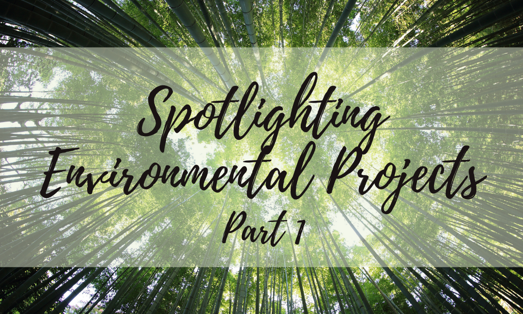 Spotlighting Environmental Projects