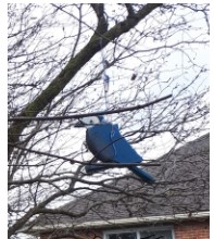 A plastic bird decoration hangs from a tree branch. It looks like a cartoonish cross between a Blue Jay and a parrot.
