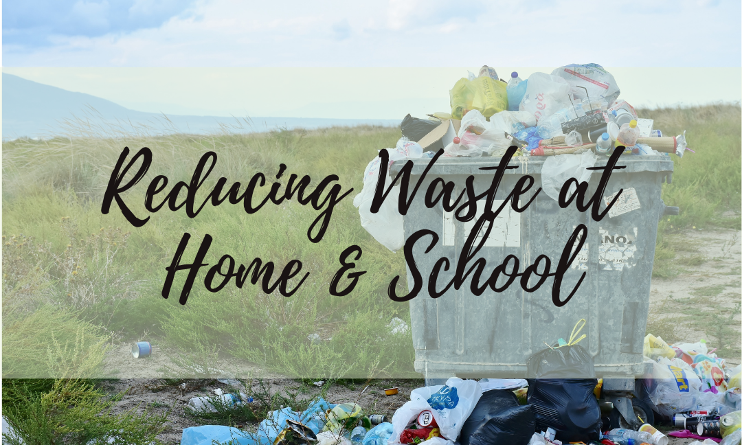 Reducing Waste at Home & School