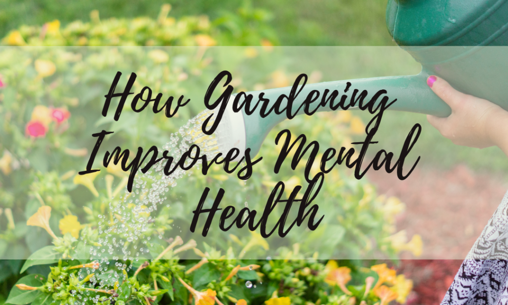 How Gardening Improves Mental Health