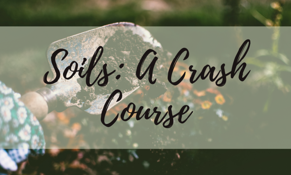 Soils: A Crash Course