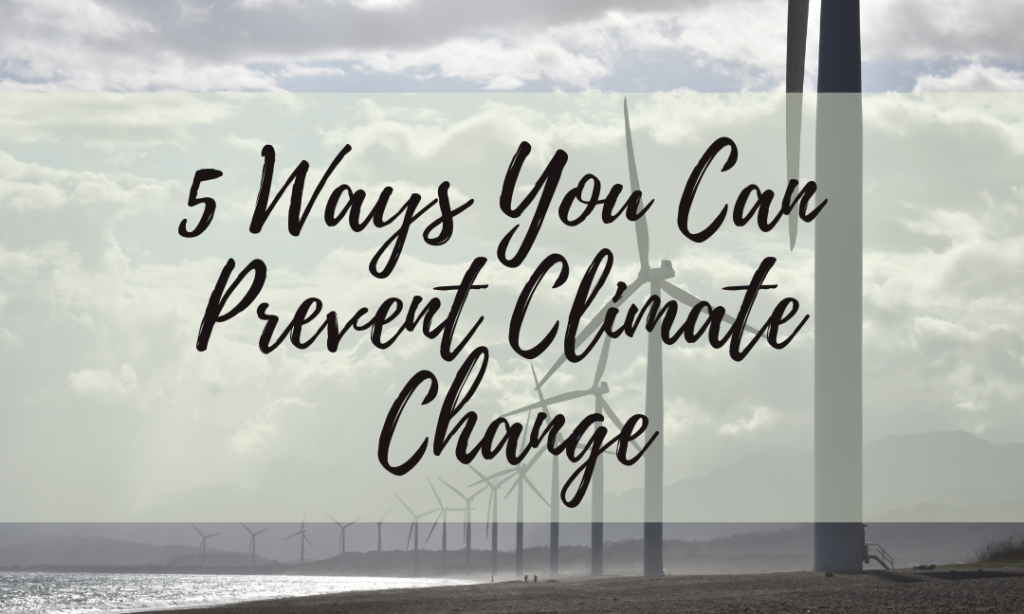 5 Ways You Can Prevent Climate Change