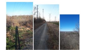 Seven photographs from the author's walk are put together in a collage. The first is taken in a muddy area overlooking forest land while transmission lines above run towards faraway buildings. The second is taken on a small dirt path with grass and transmission towers to the right and trees to the left. The third is taken on a hilltop, looking outwards to the hill's tree-filled slope and the flat, grassy land beyond. The fourth, fifth, and sixth are taken in front of cold-looking lakes: near a forest, under a bridge, and then in front of a hill. Finally, the seventh is taken in a flat area with well-kept grass leading to some trees. The trees' leaves in all seven photographs are sparse like in late Autumn or early Spring.
