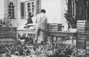 Two people stand at a table with wooden crates both on top and beside it. The table is outdoors, in front of a building with a plant-covered wall. Nearby, in the photo's foreground, there are bags with leaves of either small plants or crops poking out.