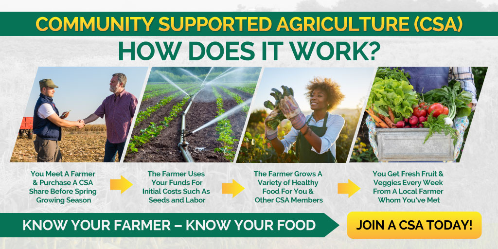 community-supported-agriculture-a-game-changer-youth-in-food-systems