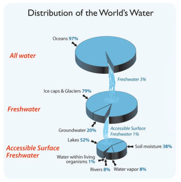 How Does the Water Crisis Affect Gardens and Agriculture? - Youth in ...