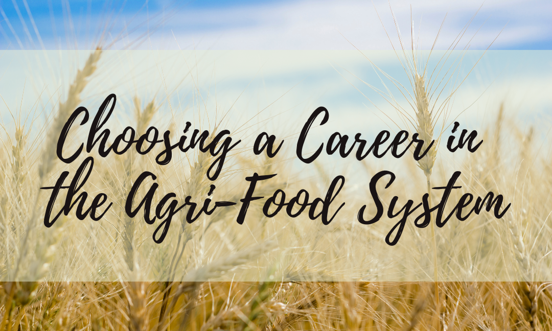 Choosing a Career in the Agri-Food System