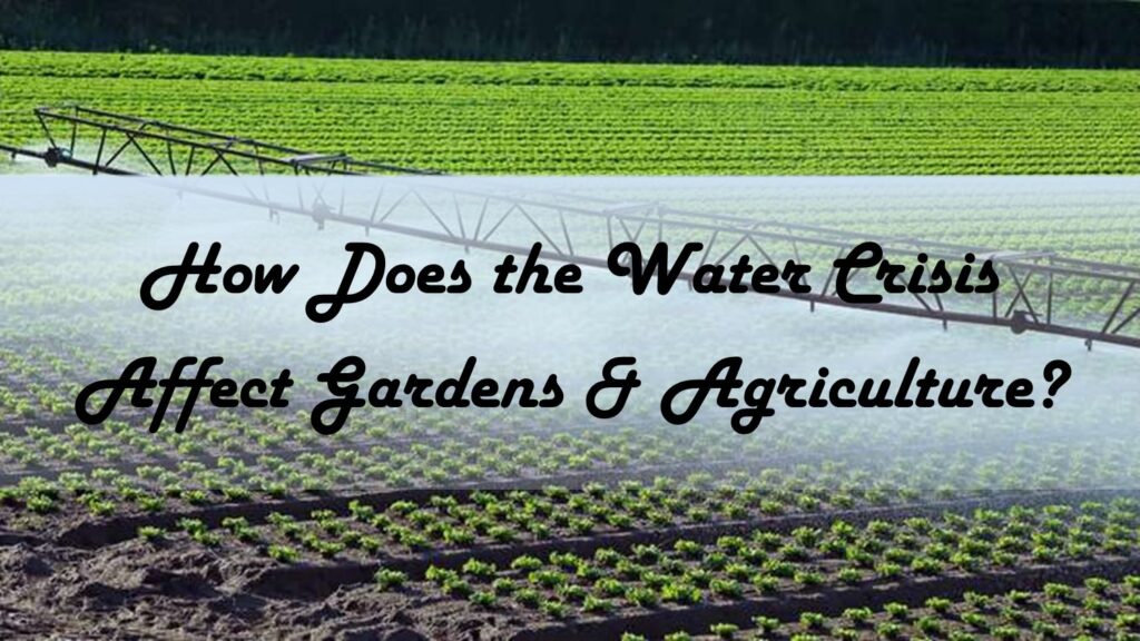 How Does the Water Crisis Affect Gardens and Agriculture?