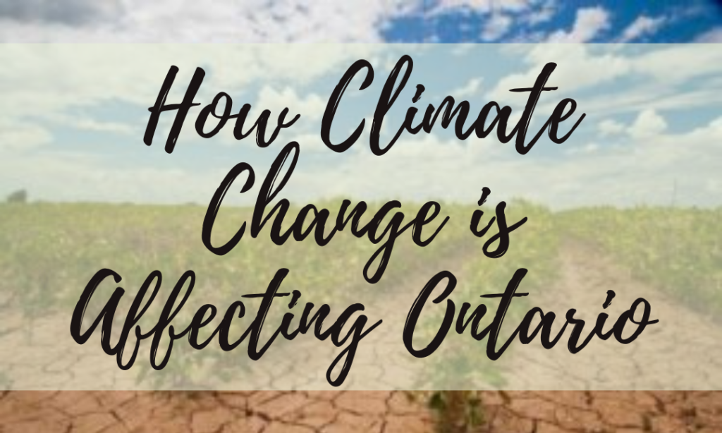 How Climate Change is Affecting Ontario