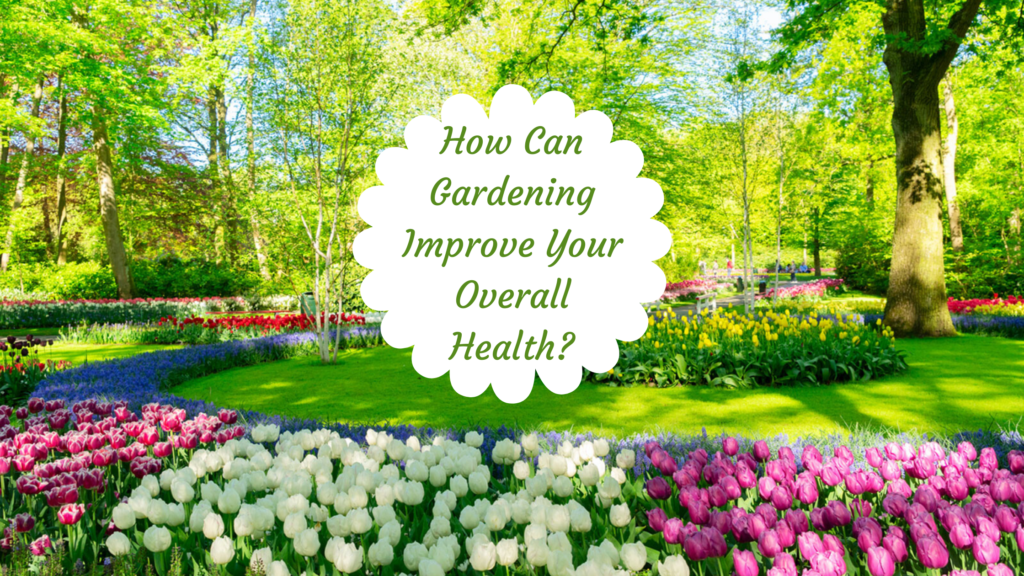 How Gardening Can Improve Your Overall Health