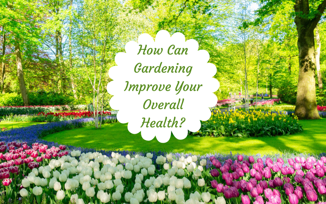 How Gardening Can Improve Your Overall Health