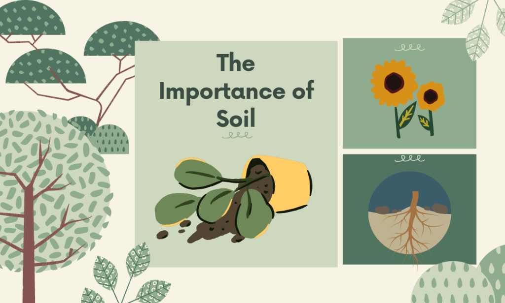 The Importance of Soil