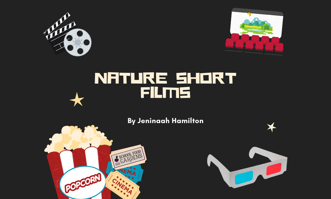 Nature Short Films