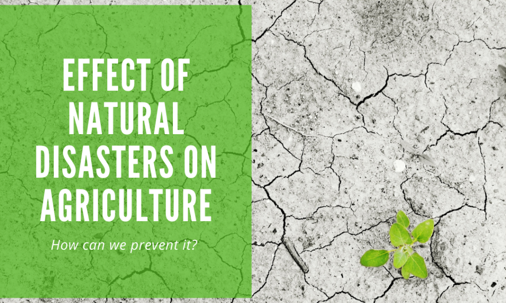 Effect of Natural Disasters on Agriculture; How Can We Prevent It?
