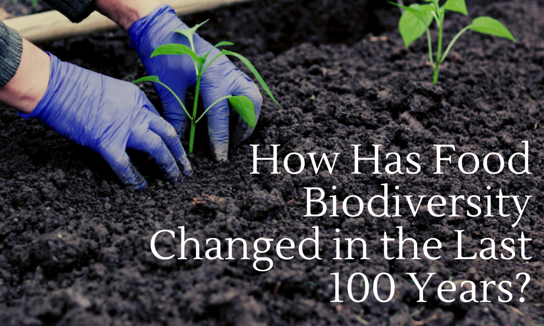 How Has Food Biodiversity Changed in the Last 100 Years?
