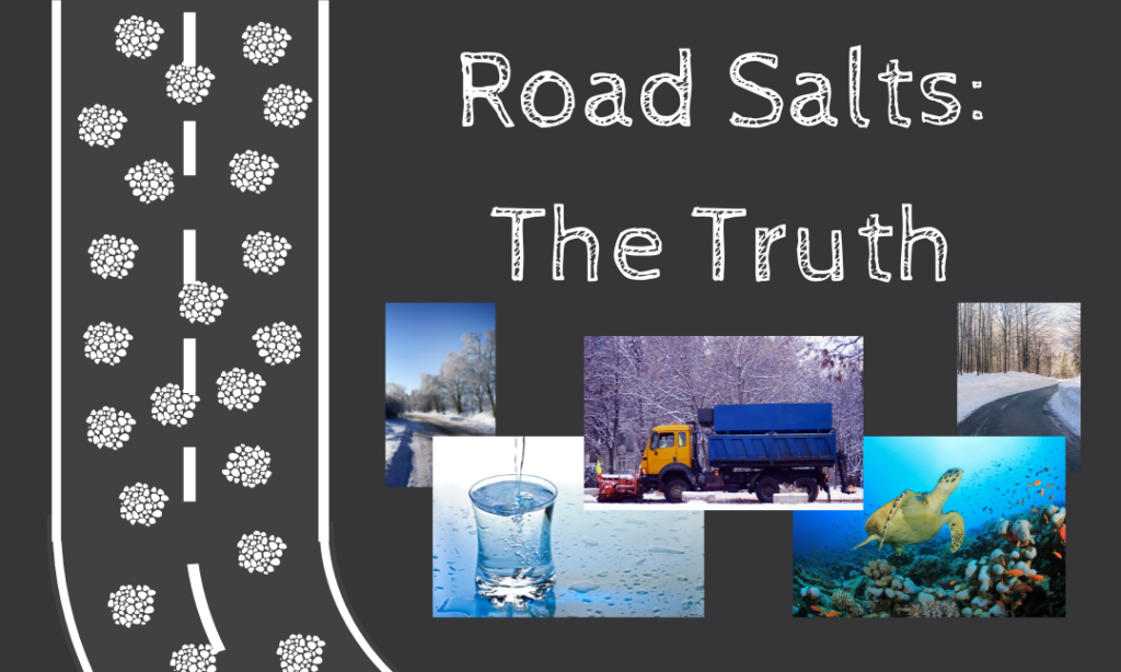 Road Salts: The Truth