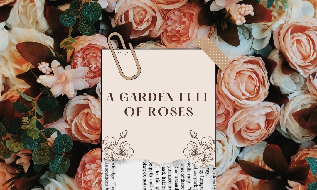 A Garden Full of Roses