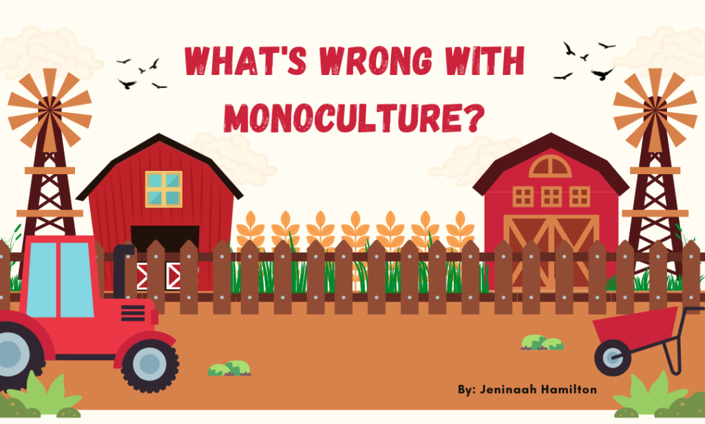 What’s Wrong With Monoculture in Farming?