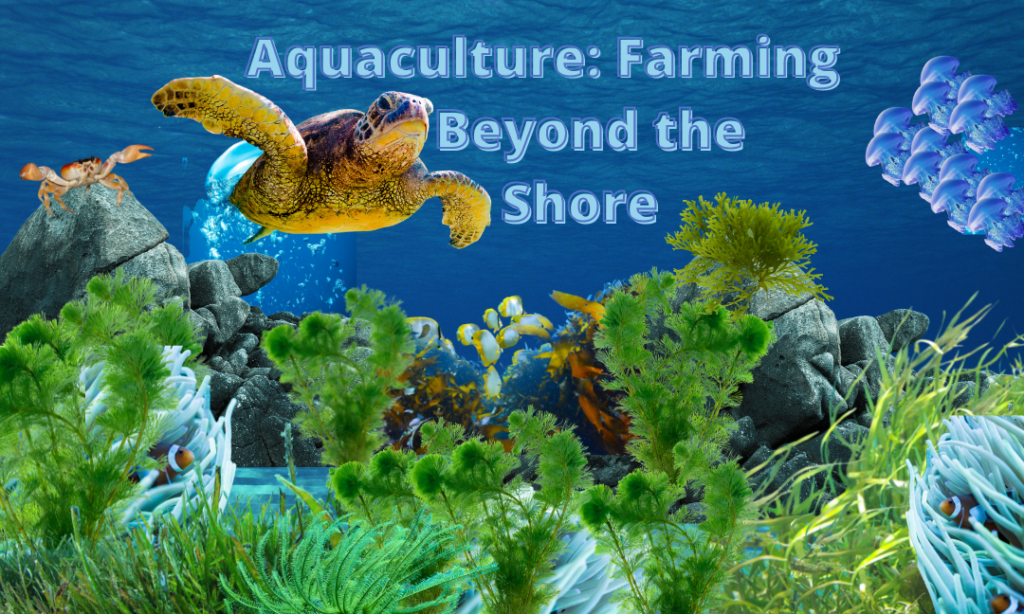 Aquaculture: Farming Beyond the Shore