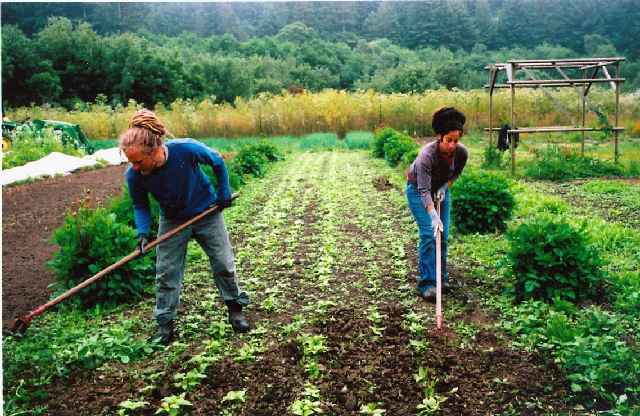 Soil And Water Conservationist Job Description