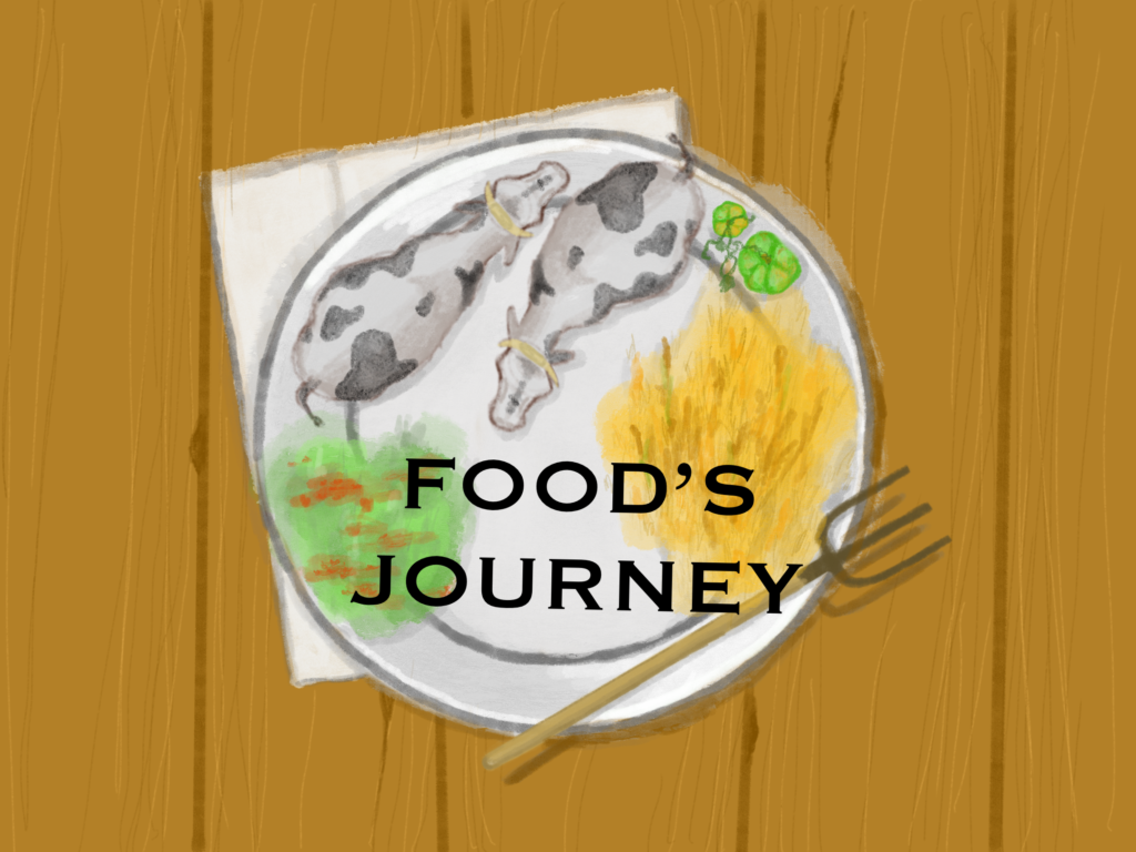 Food’s Journey