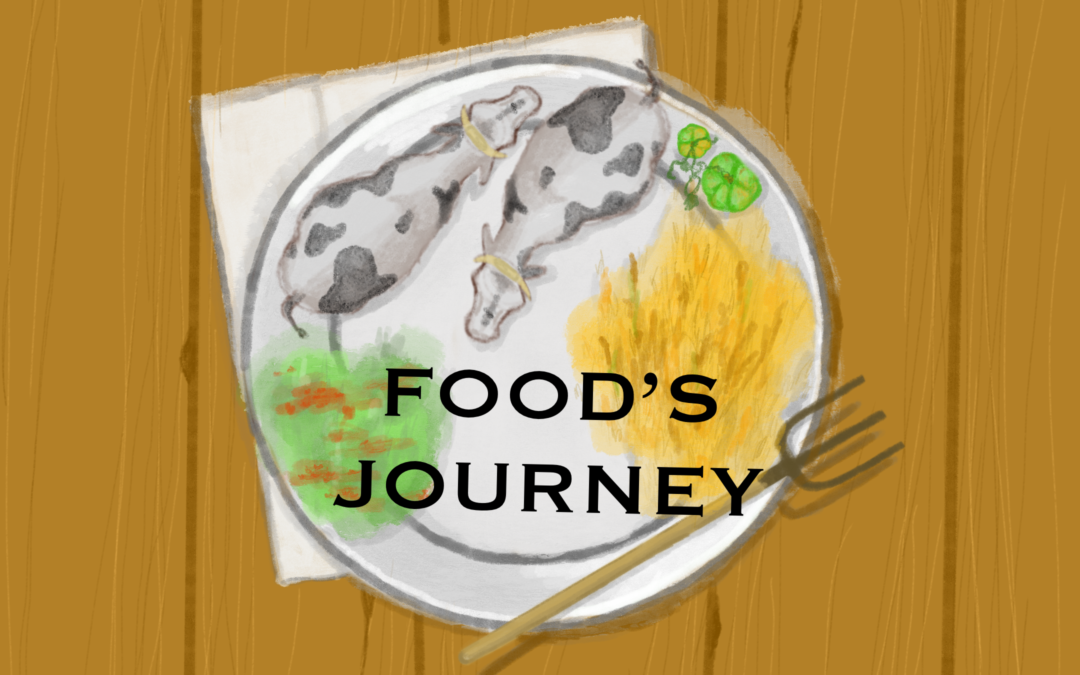 Food’s Journey