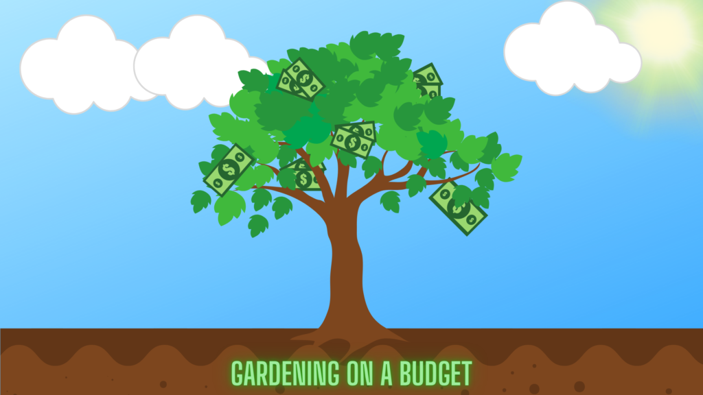 Gardening on a Budget