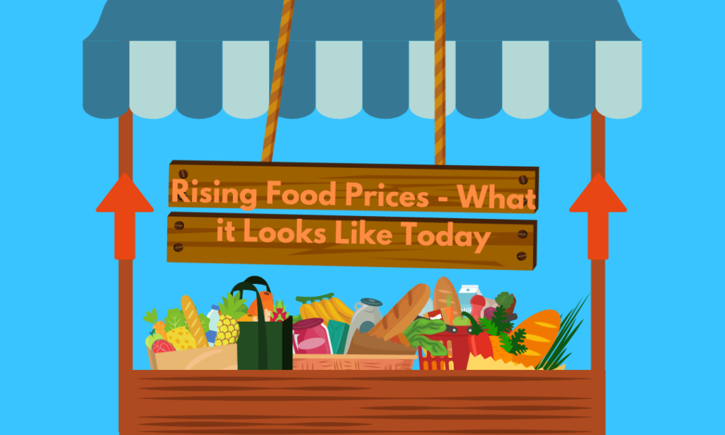Rising Food Prices – What It Looks Like Today