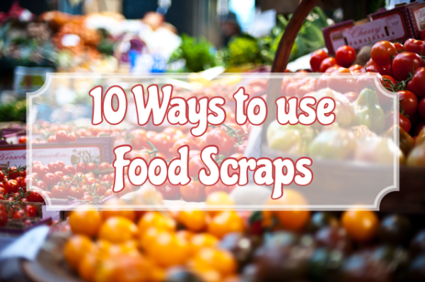 10 Ways to Use Food Scraps