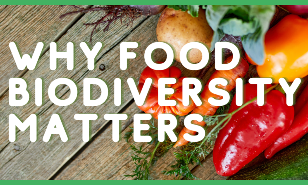 Why Food Biodiversity Matters!