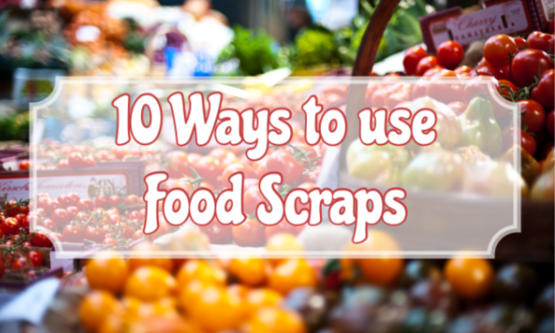 10 Ways to Use Food Scraps