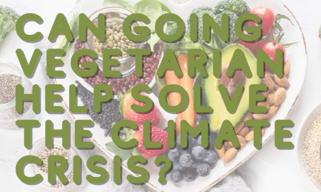 Can Going Vegetarian Help Solve the Climate Crisis?