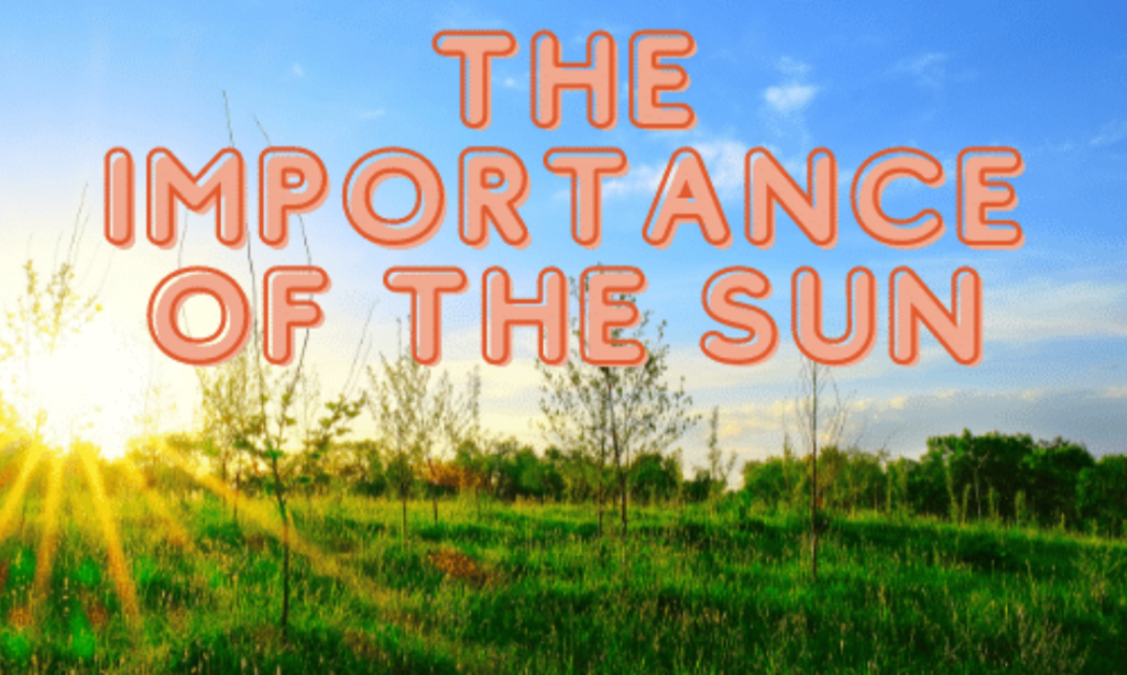 The Importance of The Sun