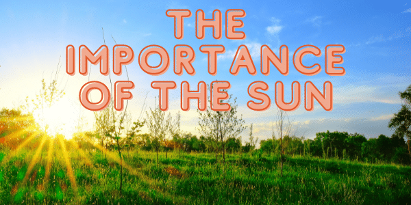 The Importance of The Sun