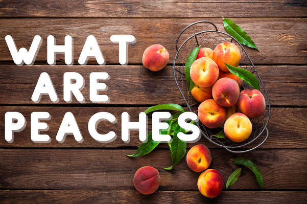 What Are Peaches?