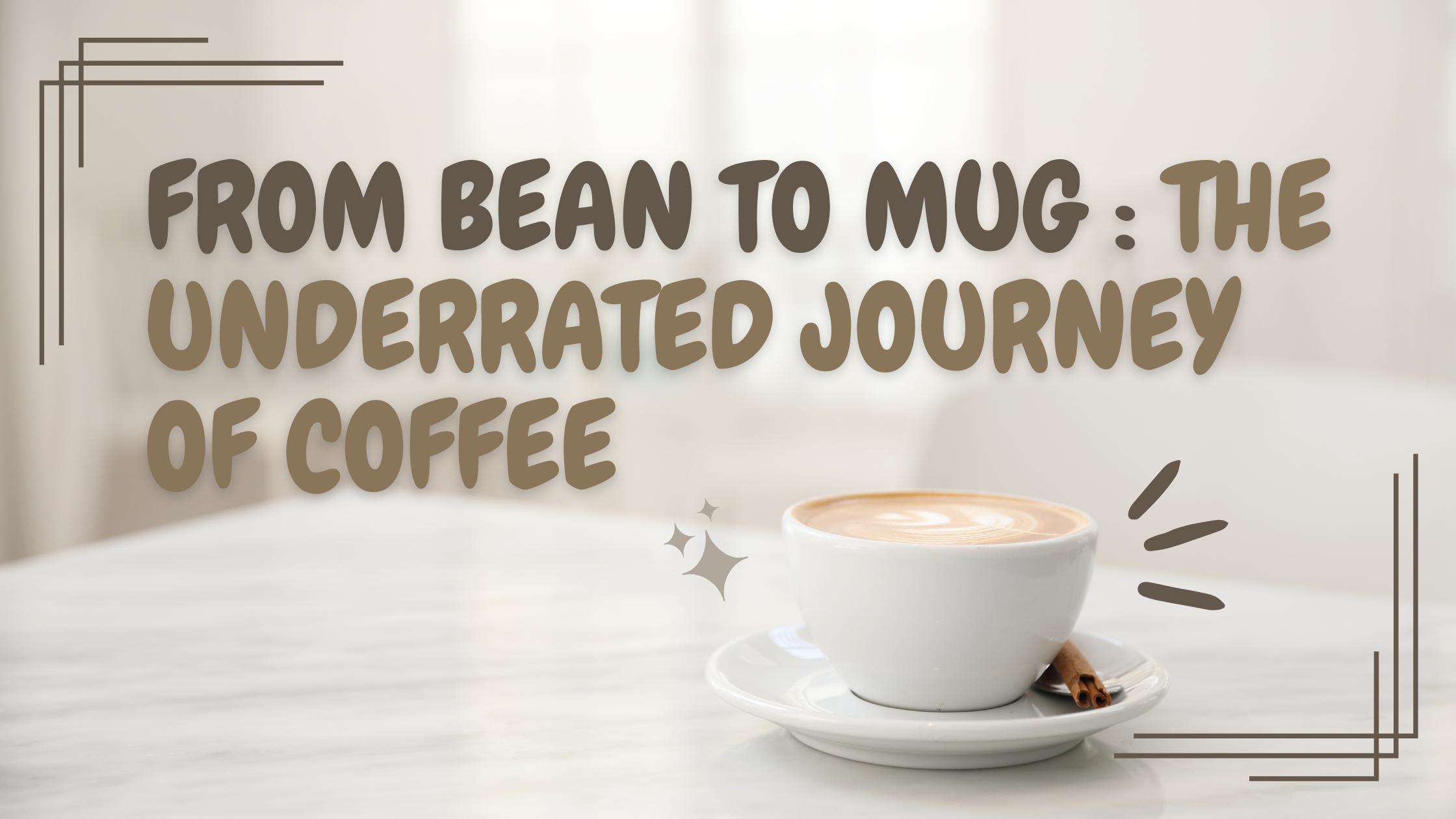 From Bean To Mug: The Underrated Journey Of Coffee