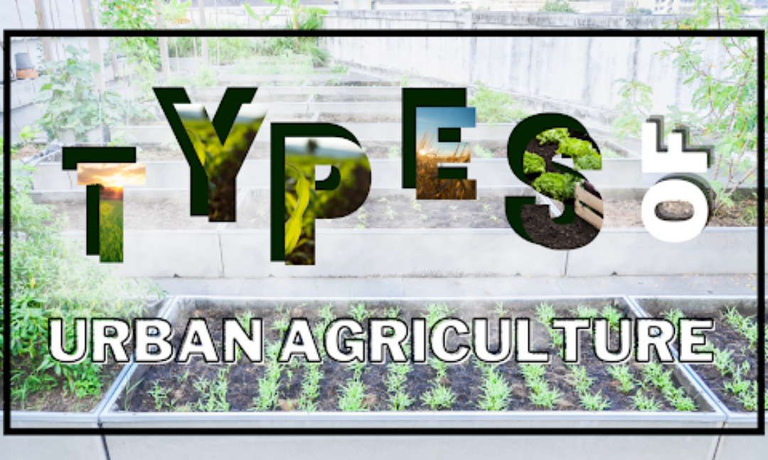 Types of Urban Agriculture