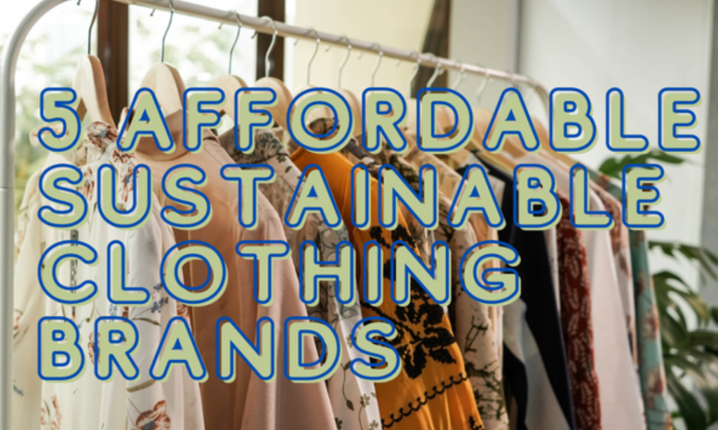 5 Affordable Sustainable Clothing Brands 