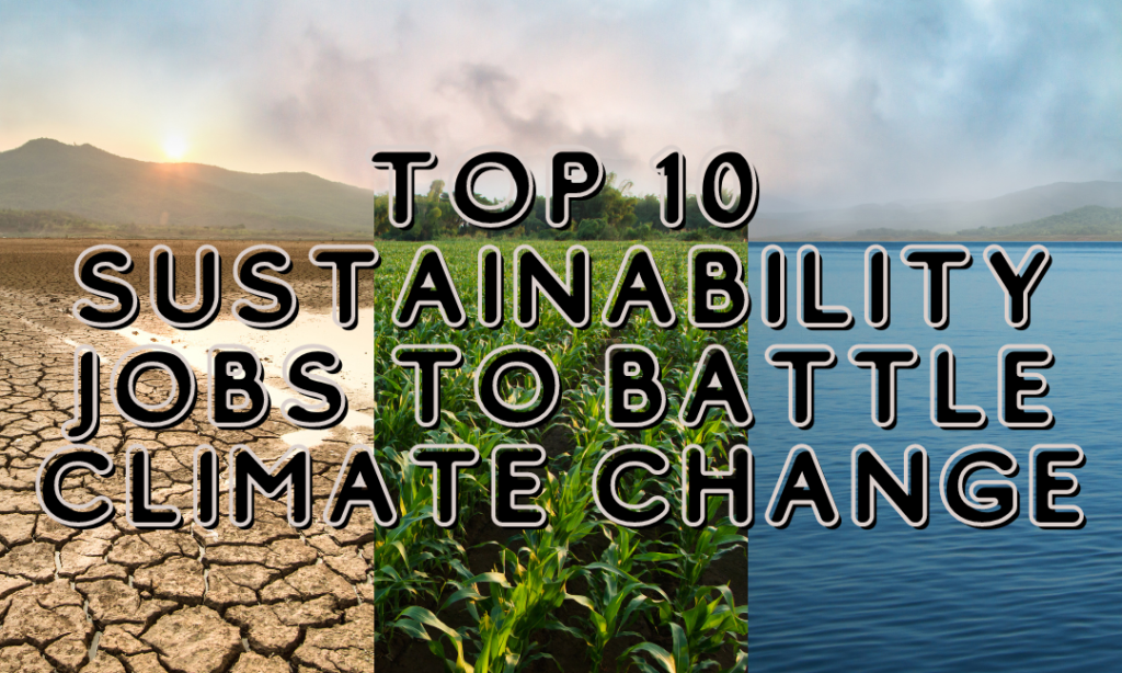 Top 10 Sustainability Jobs To Battle Climate Change