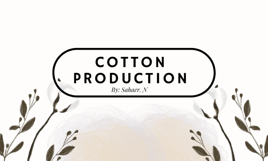 Cotton Production 
