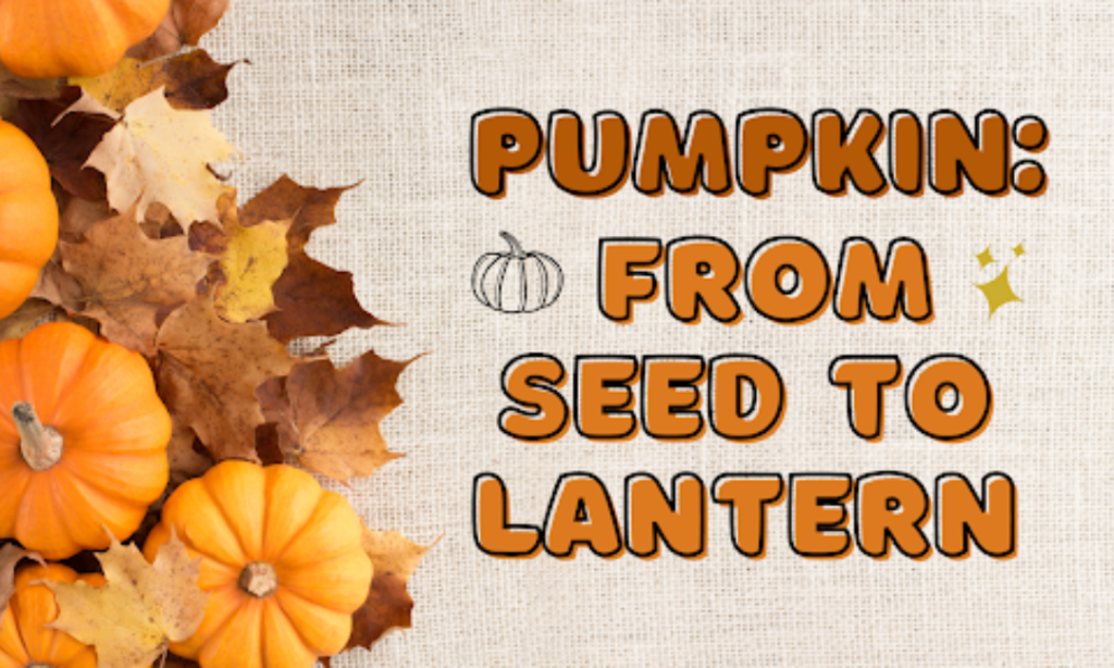 Pumpkins: From Seed to Lantern