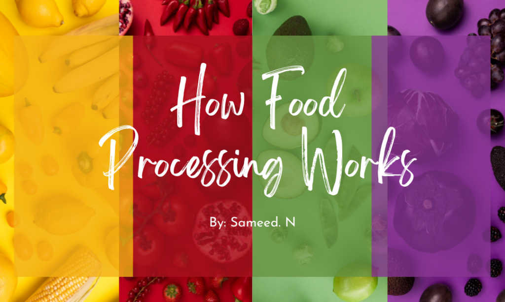How Food Processing Works
