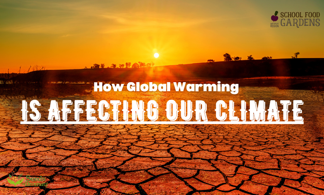 How Global Warming Is Affecting Our Climate